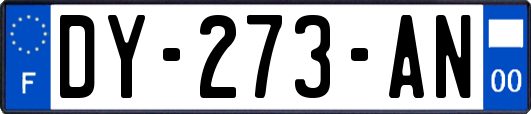 DY-273-AN