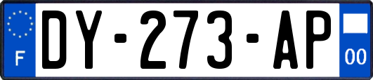 DY-273-AP