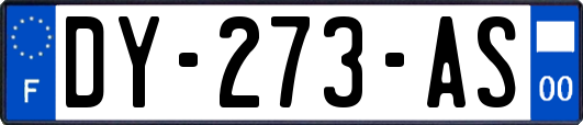 DY-273-AS