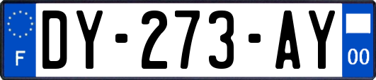 DY-273-AY