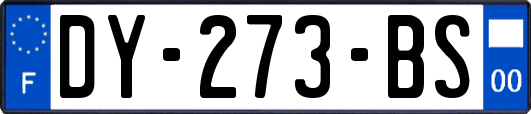 DY-273-BS