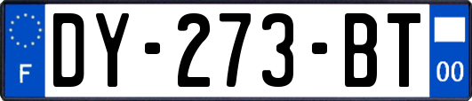 DY-273-BT