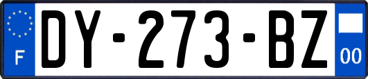 DY-273-BZ