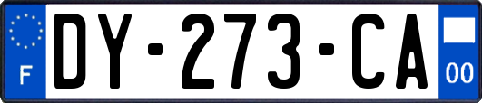 DY-273-CA