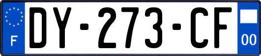 DY-273-CF