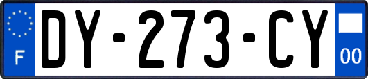 DY-273-CY