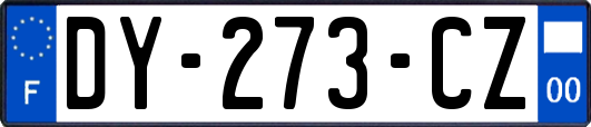 DY-273-CZ