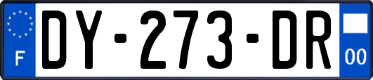 DY-273-DR