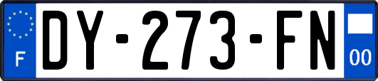 DY-273-FN