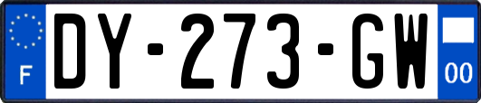 DY-273-GW