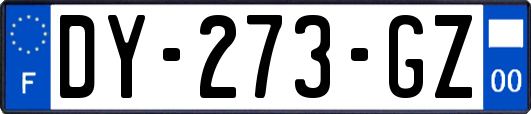 DY-273-GZ