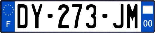 DY-273-JM