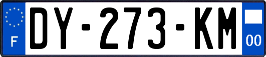 DY-273-KM