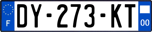 DY-273-KT