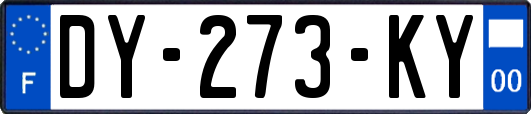 DY-273-KY