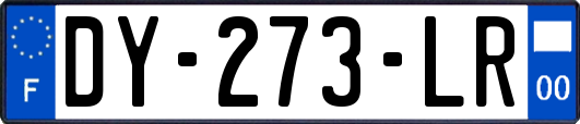 DY-273-LR