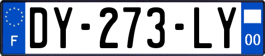 DY-273-LY