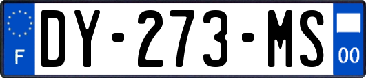DY-273-MS