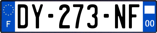 DY-273-NF