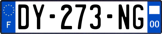DY-273-NG