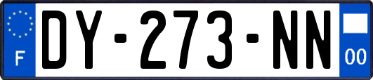 DY-273-NN