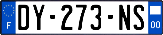 DY-273-NS