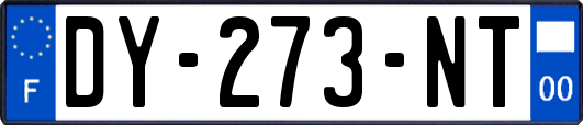 DY-273-NT