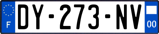 DY-273-NV