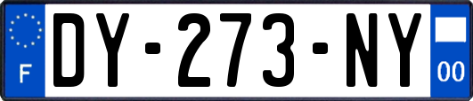 DY-273-NY