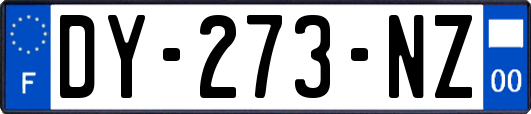 DY-273-NZ