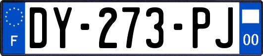 DY-273-PJ