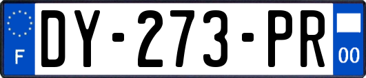 DY-273-PR