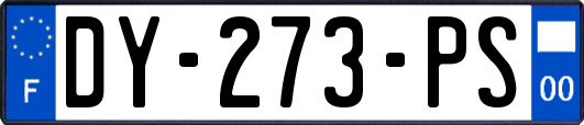 DY-273-PS