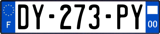 DY-273-PY