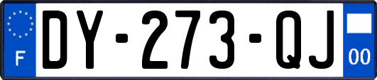 DY-273-QJ