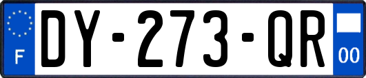 DY-273-QR
