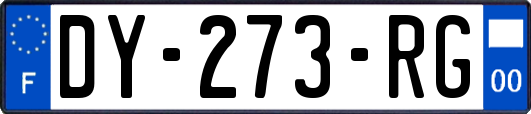 DY-273-RG