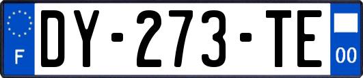 DY-273-TE