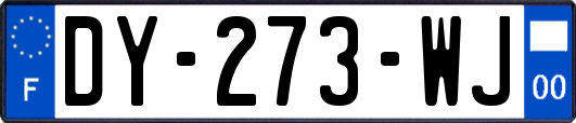 DY-273-WJ