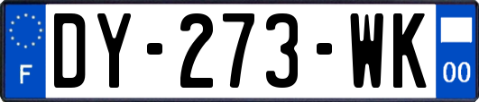 DY-273-WK