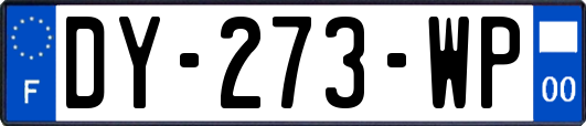 DY-273-WP