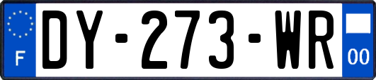 DY-273-WR