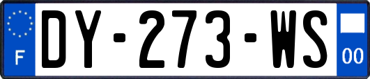 DY-273-WS