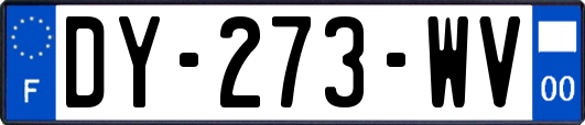 DY-273-WV