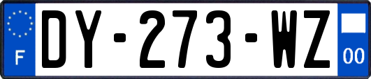 DY-273-WZ