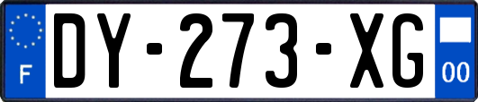 DY-273-XG