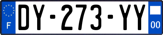 DY-273-YY
