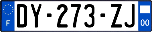 DY-273-ZJ