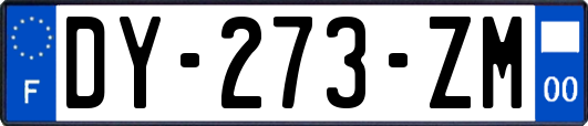 DY-273-ZM