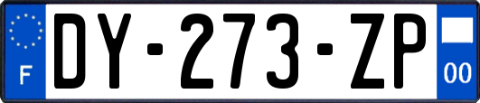 DY-273-ZP